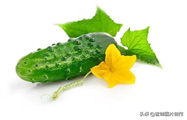 护眼精美壁纸图片大全,各种精彩护眼纯色壁纸大屏