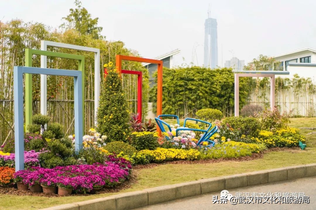 花点时间武汉东湖樱花园,武汉花点时间