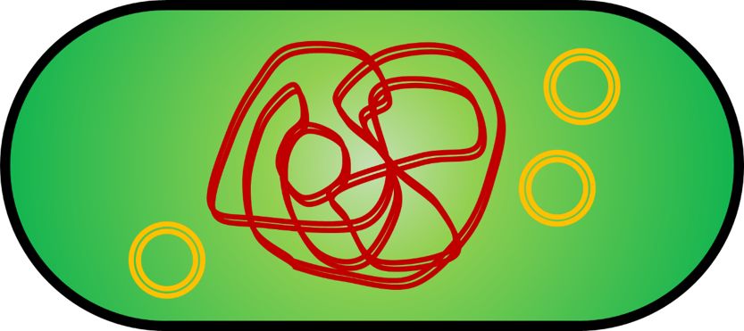 病毒从哪里来怎么画,病毒从哪里来的动画