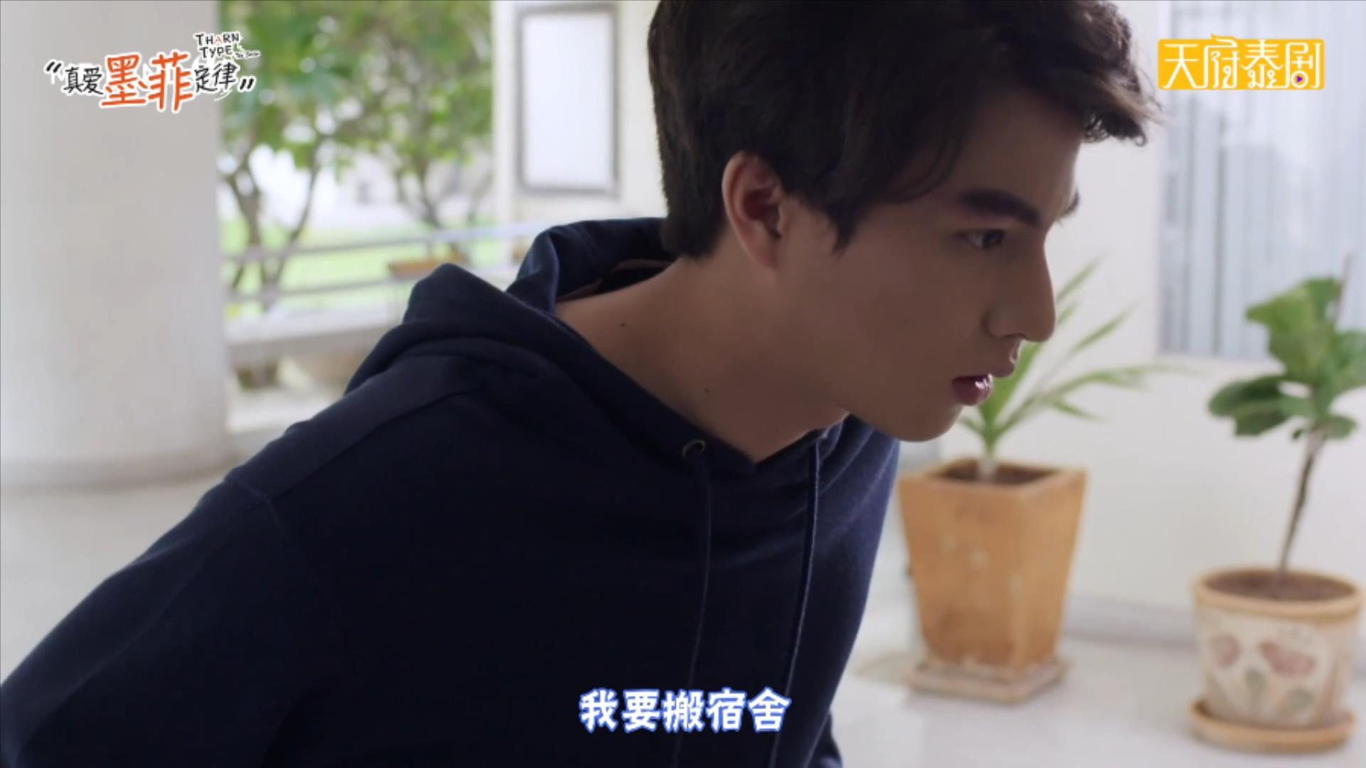 真爱墨菲定律泰剧大电影在线观看,真爱墨菲定律泰剧在线观看剧集网