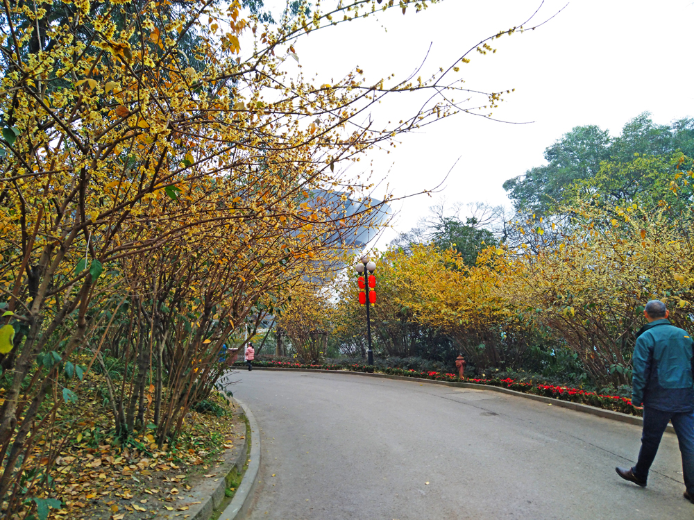 我眼里的万县（重庆万州）