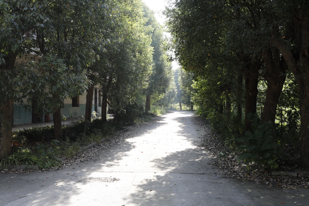 湖北锅炉容器厂家,武汉天元锅炉厂