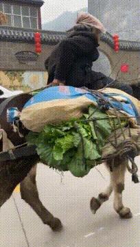 喜欢很久的小哥哥,喜欢了很久的小哥哥