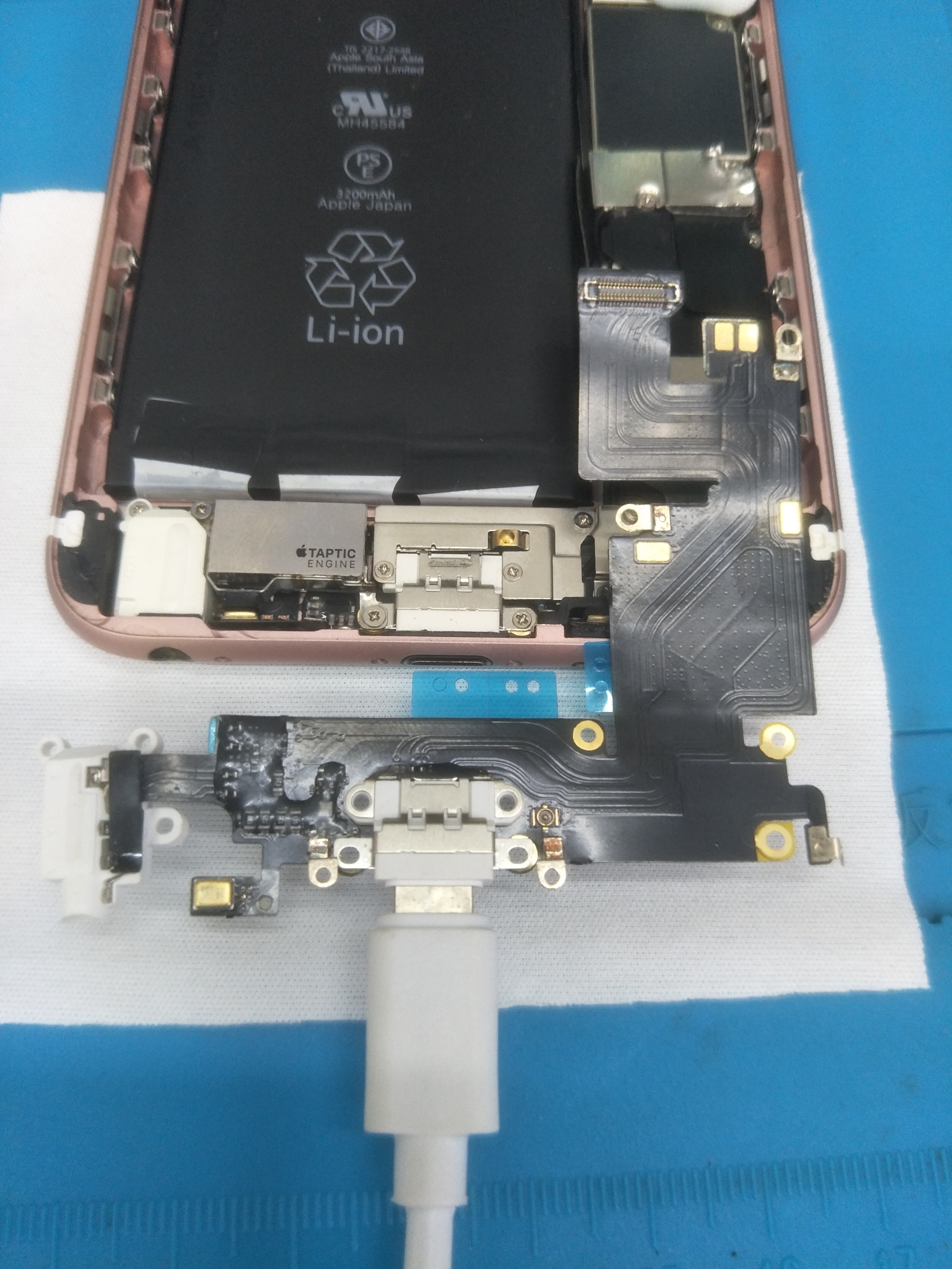 *窥偷**苹果6s“菊花”（尾插）的秘密