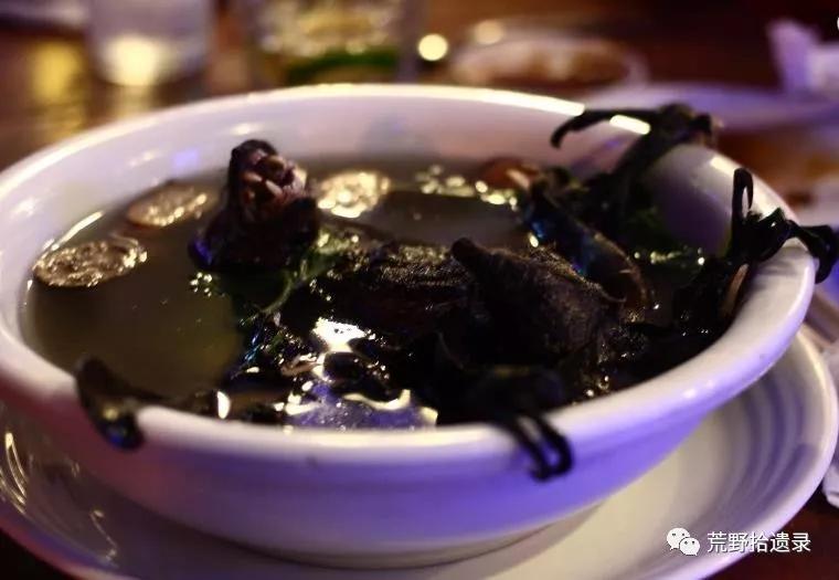 为什么不把蝙蝠除掉,蝙蝠带病毒为啥不把蝙蝠给灭绝