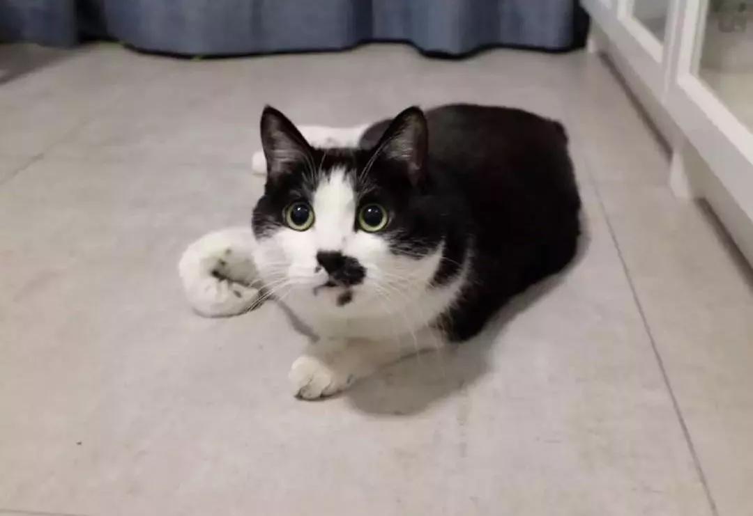 好看的北欧风格婚房,北欧风格小清新婚房