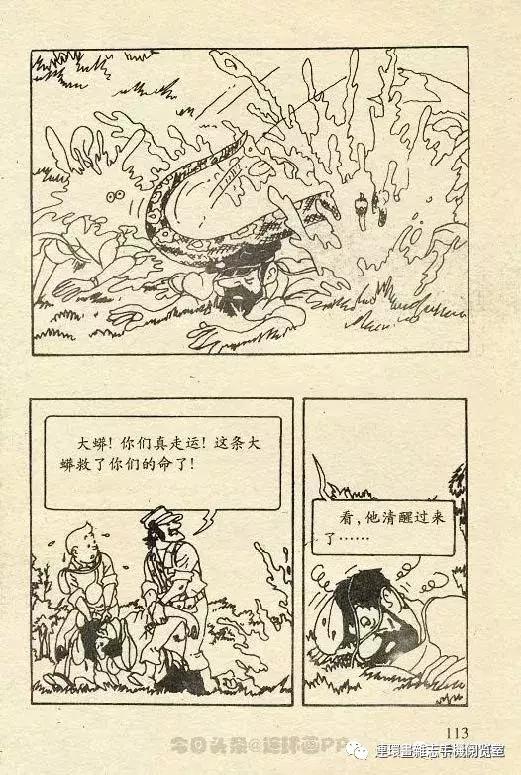 丁丁历险记之丁丁在刚果,丁丁历险记丁丁被石头绊倒