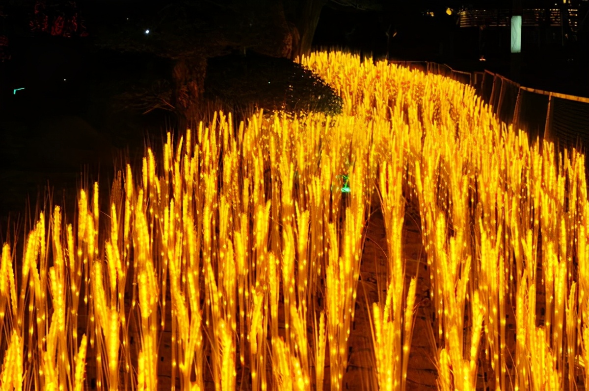 郑州元宵节看花灯的好去处,郑州市赏花灯的地方