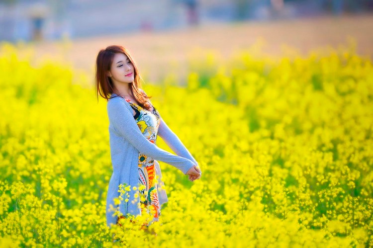 「七绝」谁解蜜蜂穿梭忙