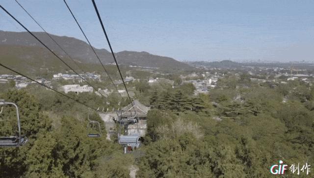 赏香山红叶旅游攻略,赏花旅游景点北京