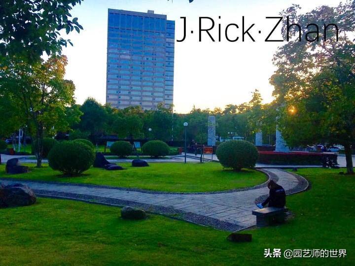 怎么种植草坪不长杂草,如何养好草坪