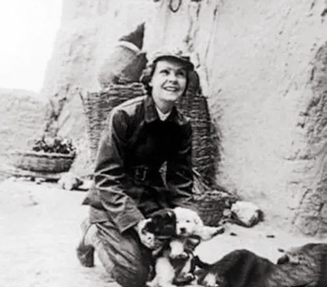 一封珍藏58年的秘密信件,一封书信解密版