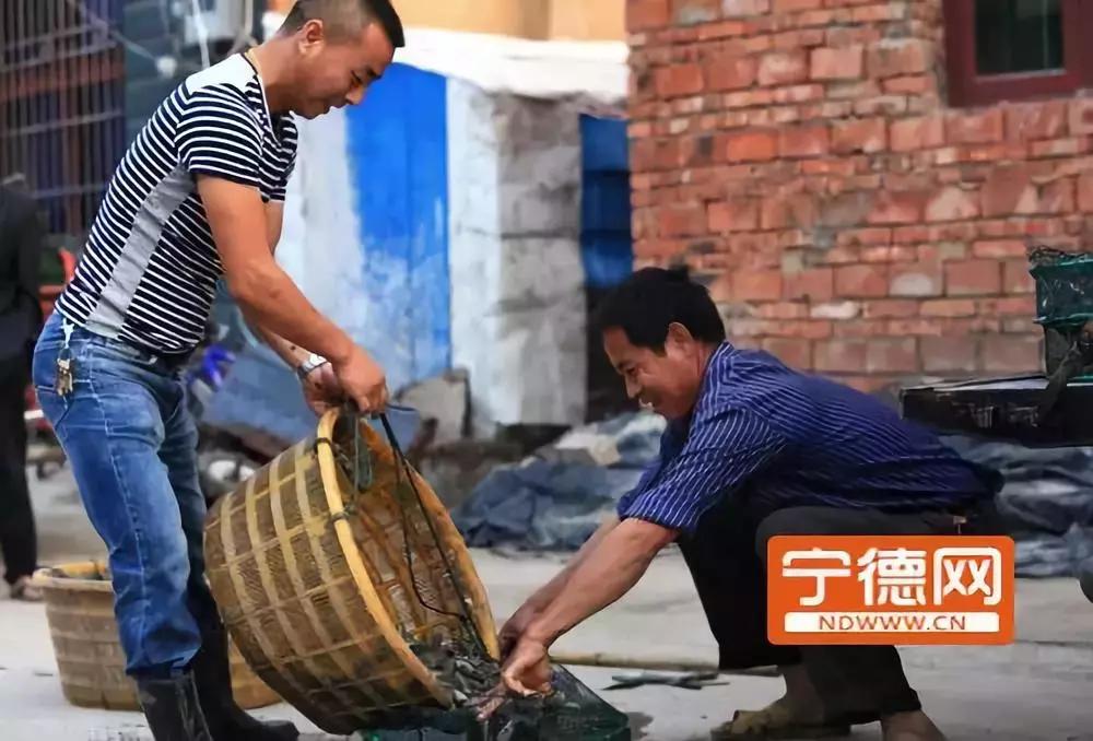 接下来3个月，福州人想吃这些海鲜要多花钱了！因为……