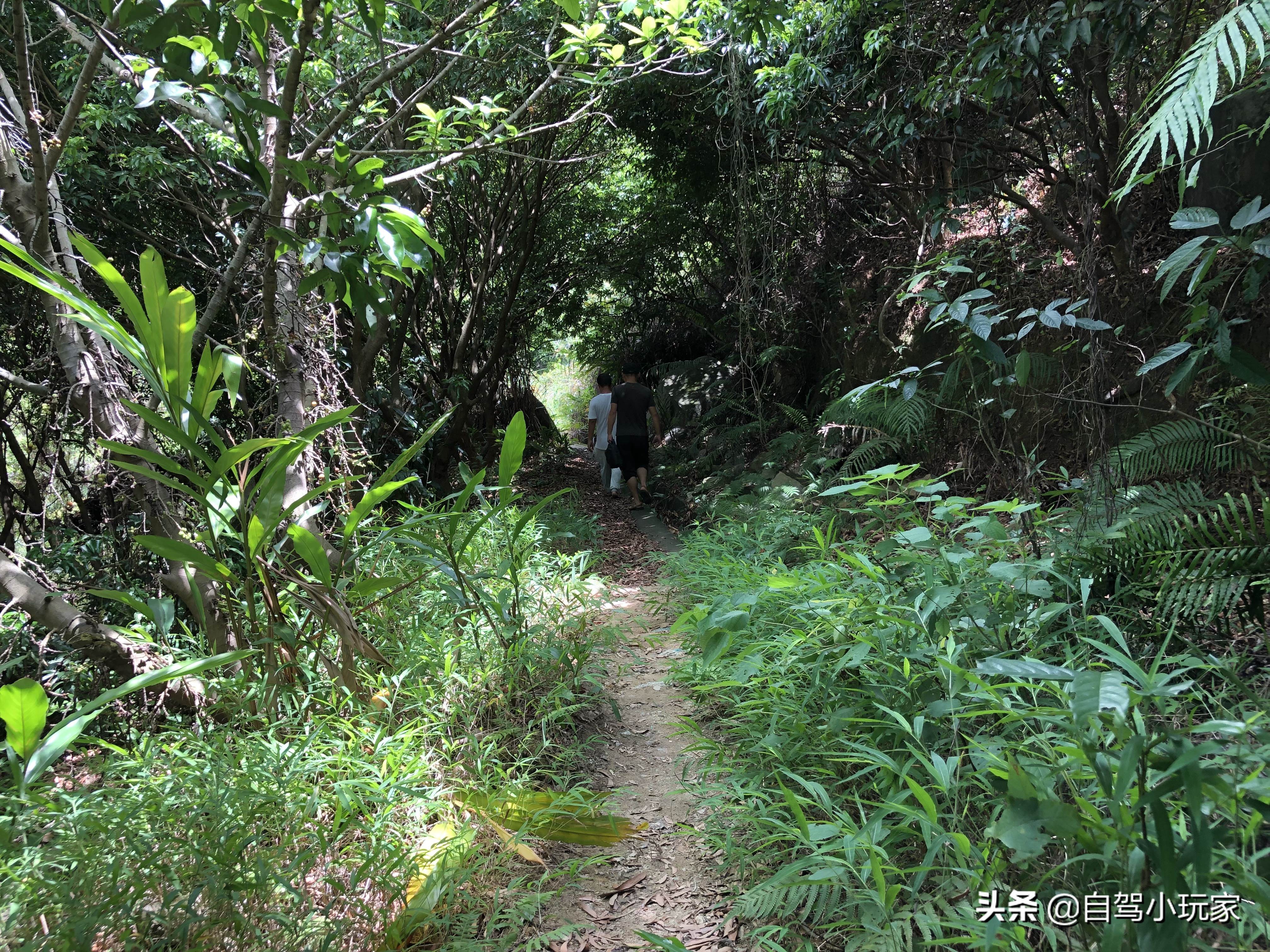 一个开车就能到的“大碧潭”，瀑布、溪流免费任你玩，来的人很少