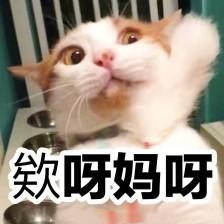 智齿拔牙后一般要痛多久,智齿拔牙不拔牙根会怎样