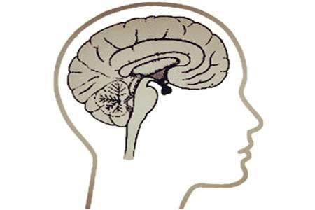 垂体肿瘤吓人吗,脑垂体瘤手术可怕吗