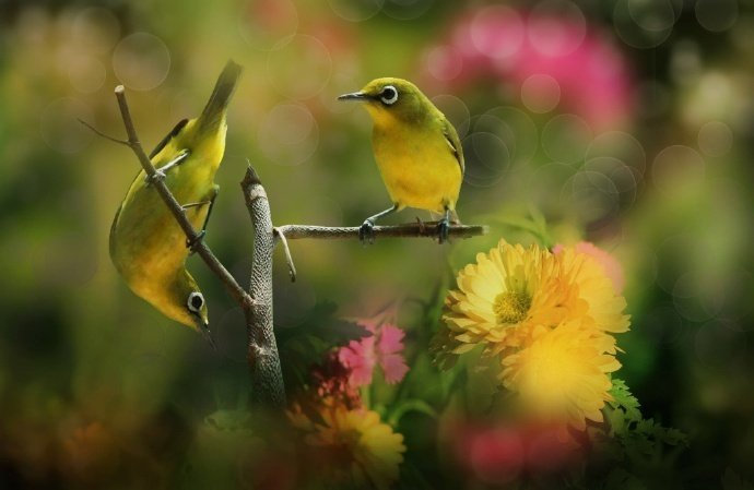 苏东坡趣闻全集,苏东坡趣闻趣事