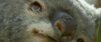 豆瓣9.8分悬疑大片,窥探电视剧豆瓣评分