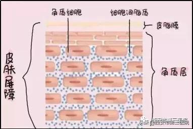 紧致肌肤的微针,淡化细纹微针