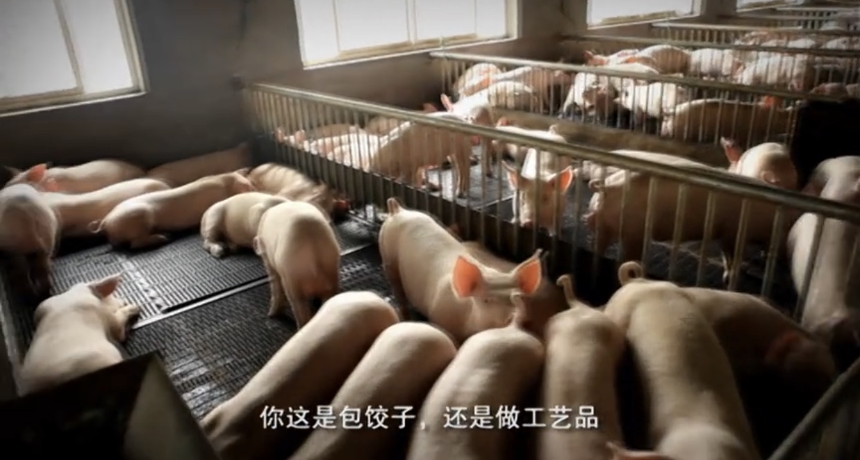 湾仔码头创始人给我们的启示,湾仔码头水饺创始人视频讲解