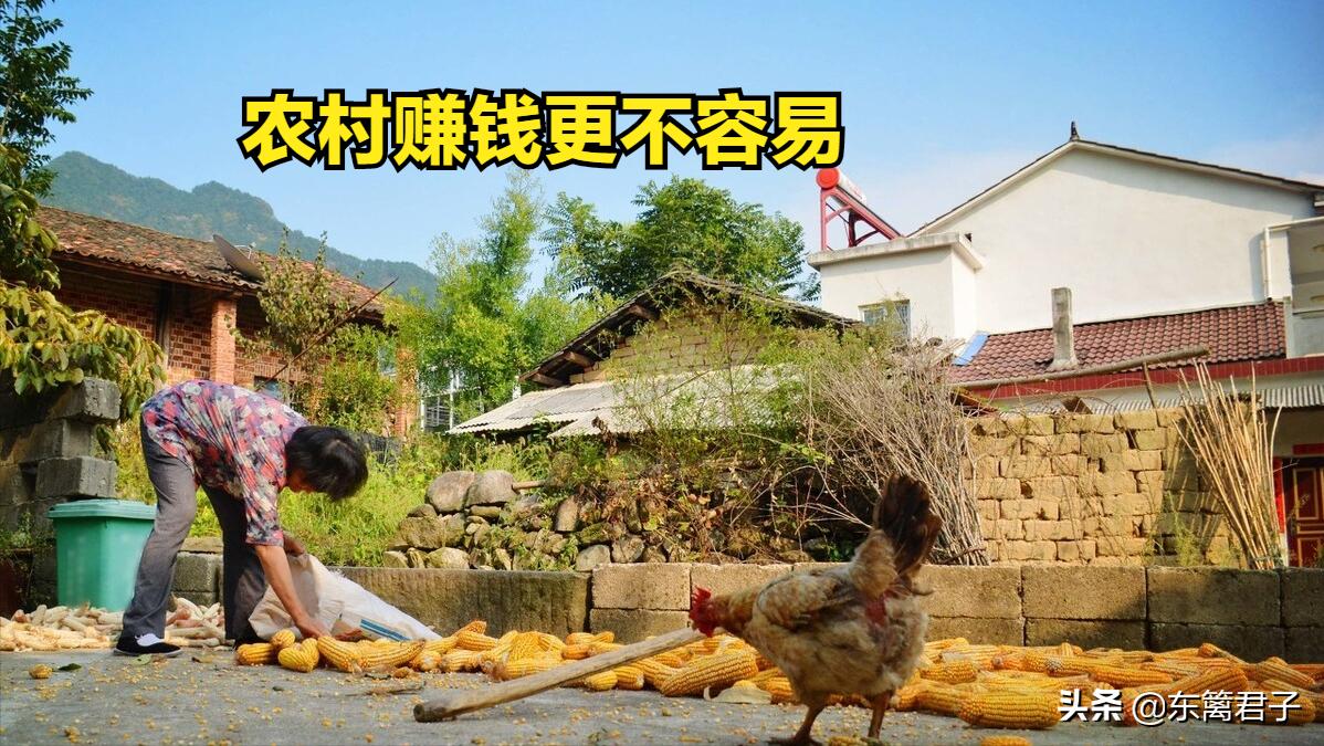 表弟的儿子要去做“倒插门”女婿了，老两口子心情很复杂