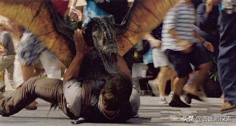 科学家发现恐龙的线索,翼龙会吃什么