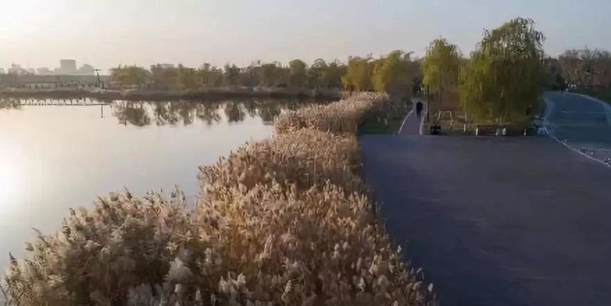 超级震撼天津中心商务区最新规划,天津新发展格局