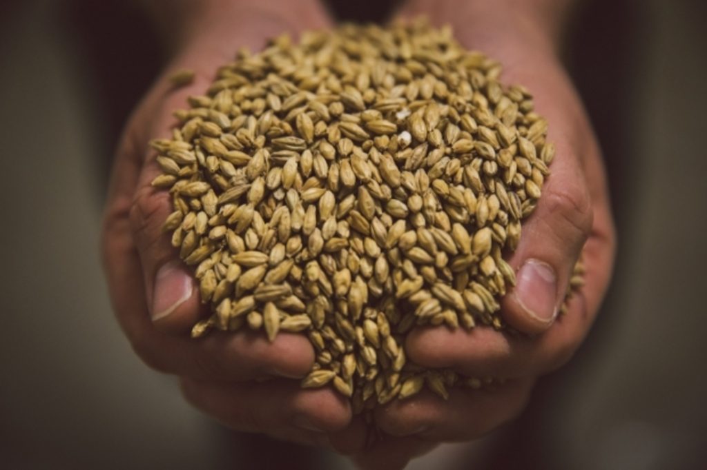 国内较好的麦芽品牌,单一麦芽三大品牌