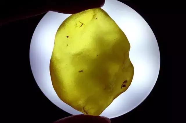 蜜蜡打灯后密密麻麻的小黑点,蜜蜡为什么有血丝纹