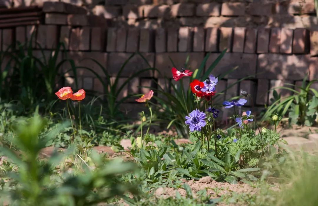 陆庆松：螺丝不肯拧紧