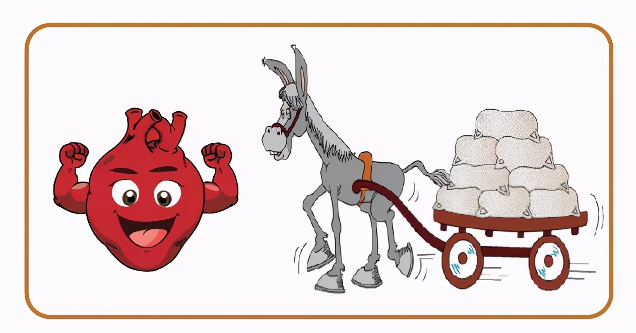 心衰患者5年内死亡率高达50%，知道这七个发作信号能救命