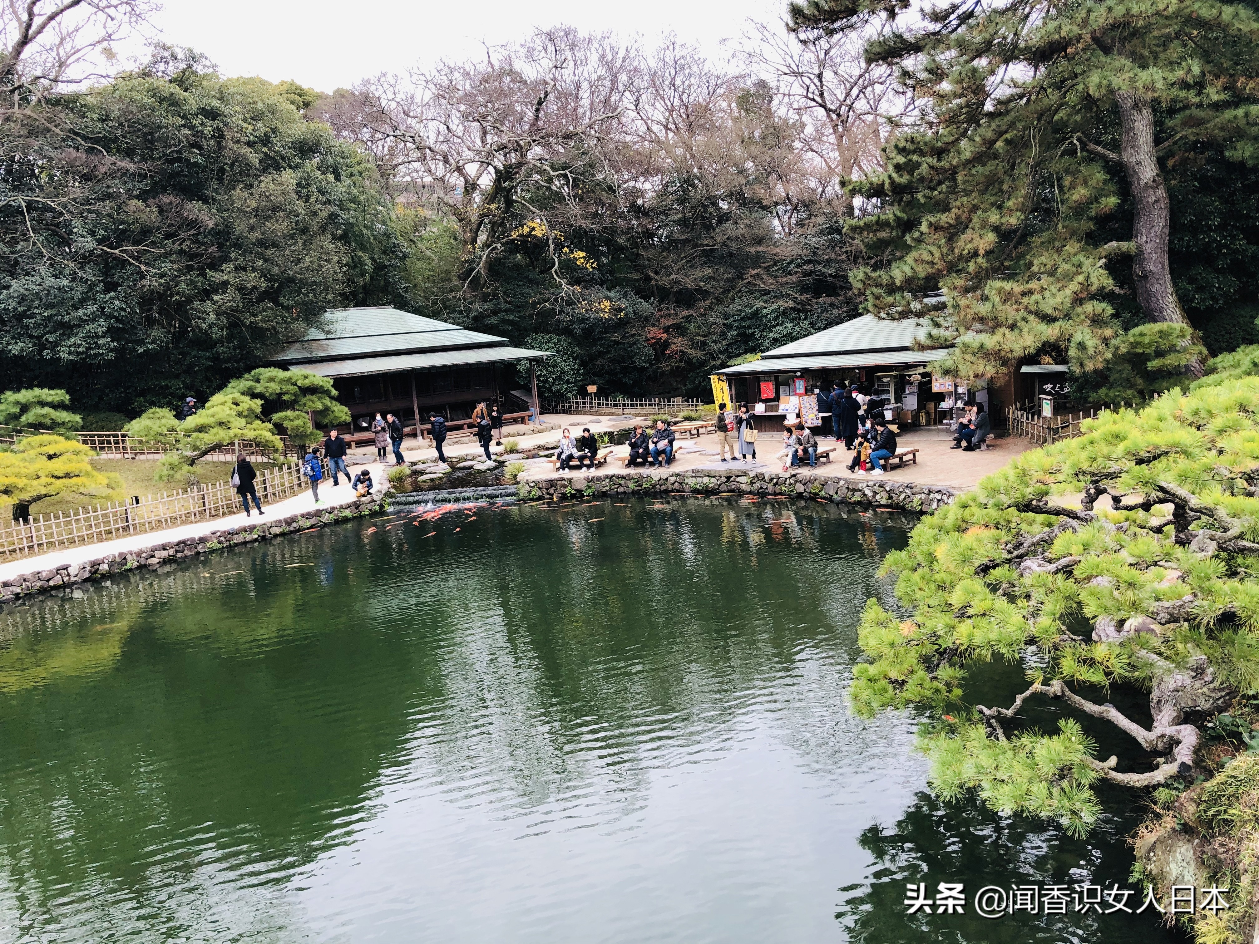 日本的米其林三星餐厅,日本米其林三星参观
