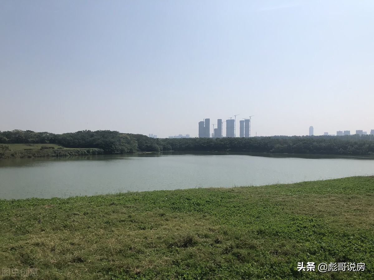 武汉盘龙城买房哪个片区好,武汉盘龙城规划图2030终极版