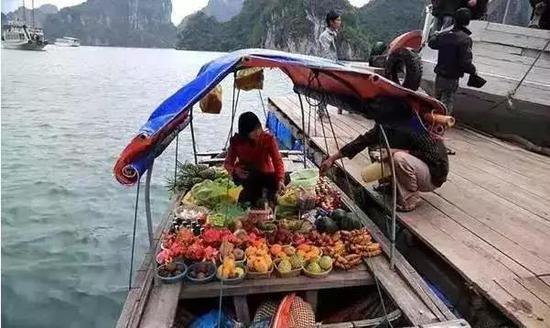 狼哥越南 (权哥带你了解越南)