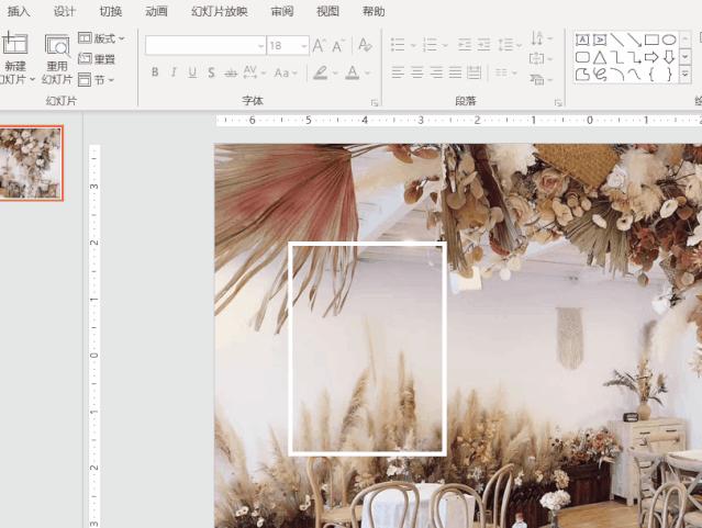 ppt大神功能,小白教你学ppt