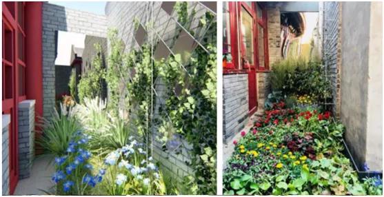 城市微更新要有大格局,城市微改造提升百姓幸福感