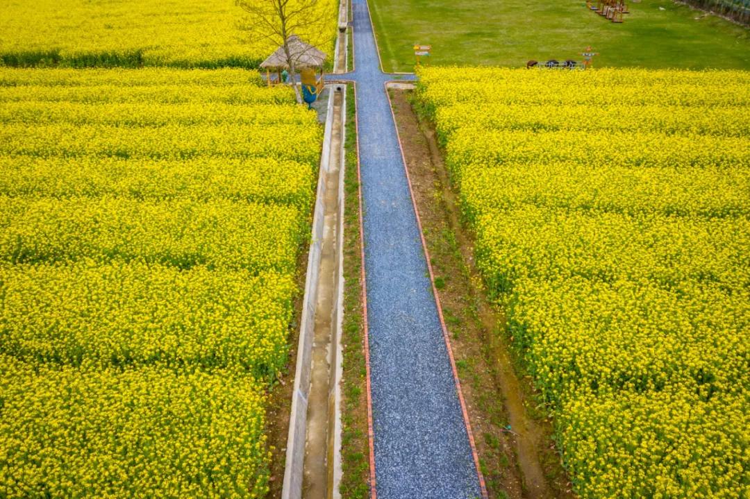 杭州西湖桃花源四合院,绿城桃花源山居合院在哪里