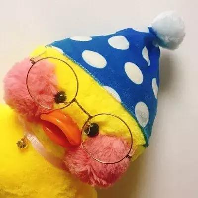 36张网红玻尿酸鸭头像图：遇见就好了，余生就算了