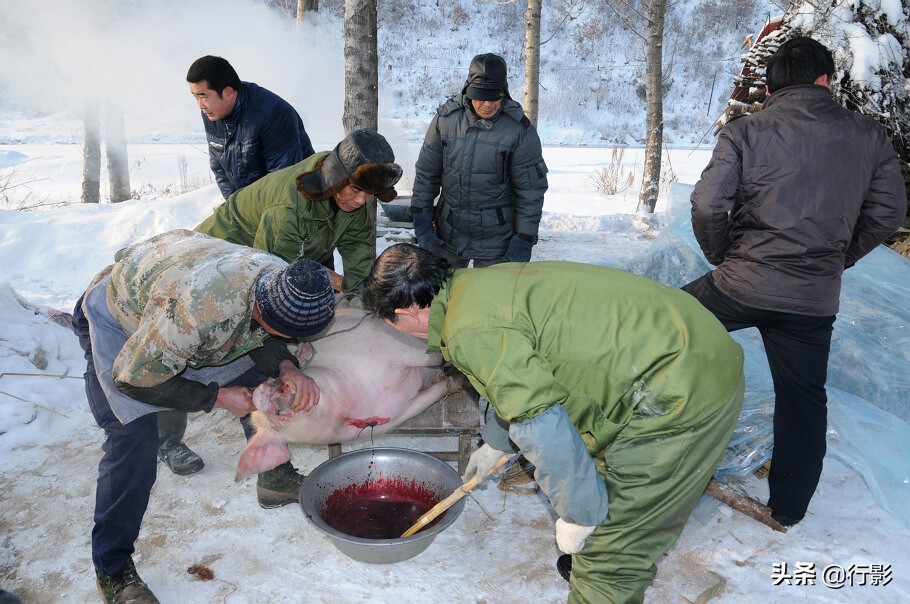 回忆年味东北杀猪菜图片,杀猪菜东北农村年味