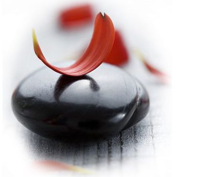 白落梅经典语录名段,白落梅的经典语录大爱无言