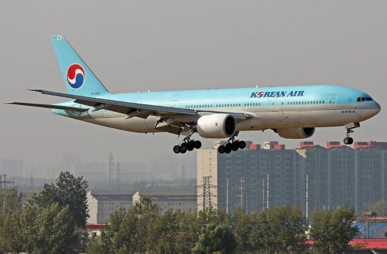 德国机场遇袭,德国飞机相撞空难