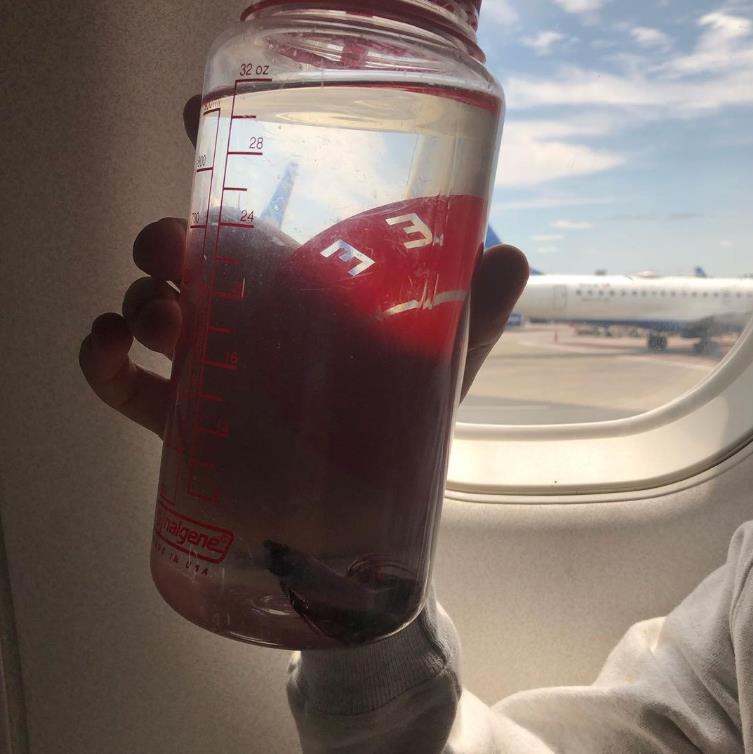 外国女子救下崩溃男子,外国女生救斗鱼