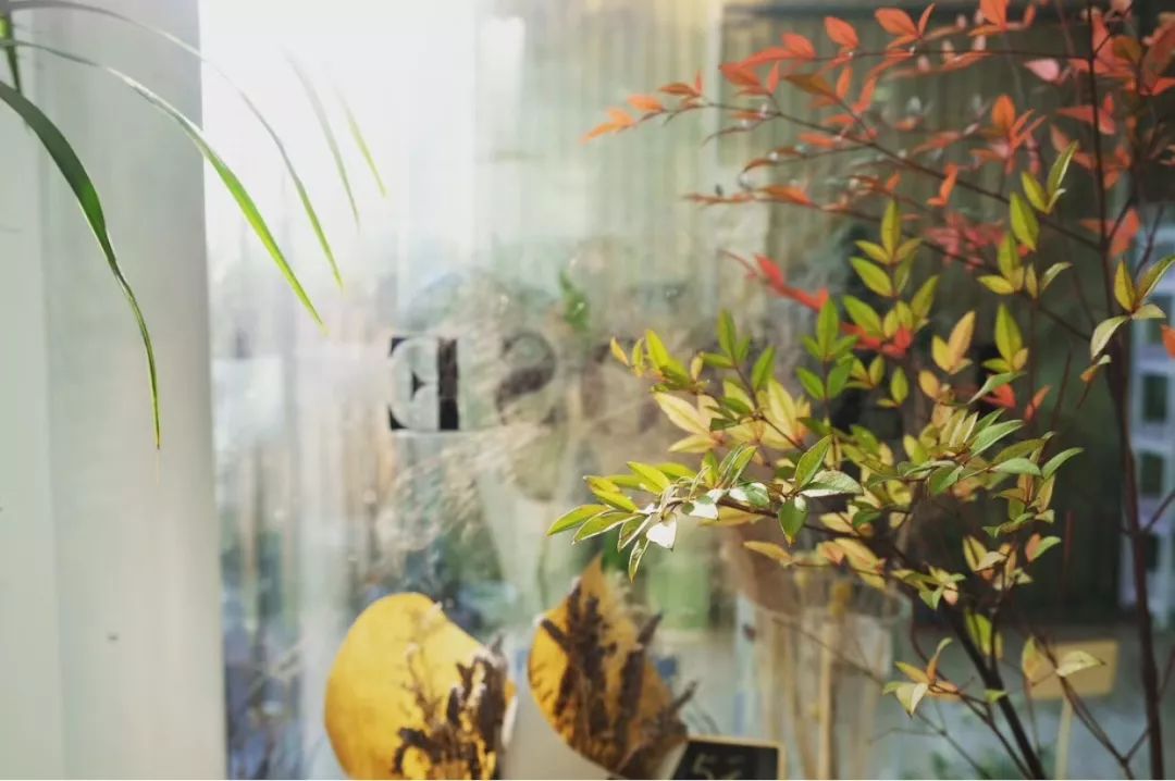 花艺是花店吗,花店还是花艺工作室