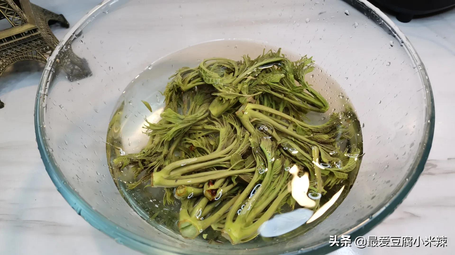 香椿芽怎么才能长期保存才新鲜,香椿芽一年四季都可以吃吗