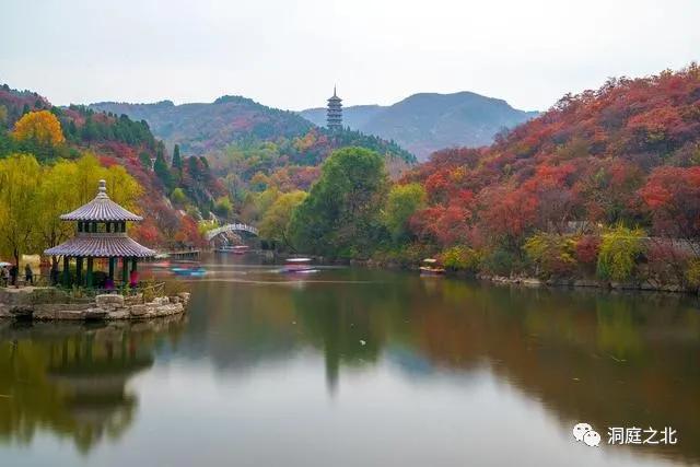 茶叶礼盒广告语大全集,茶叶包装盒征集广告语