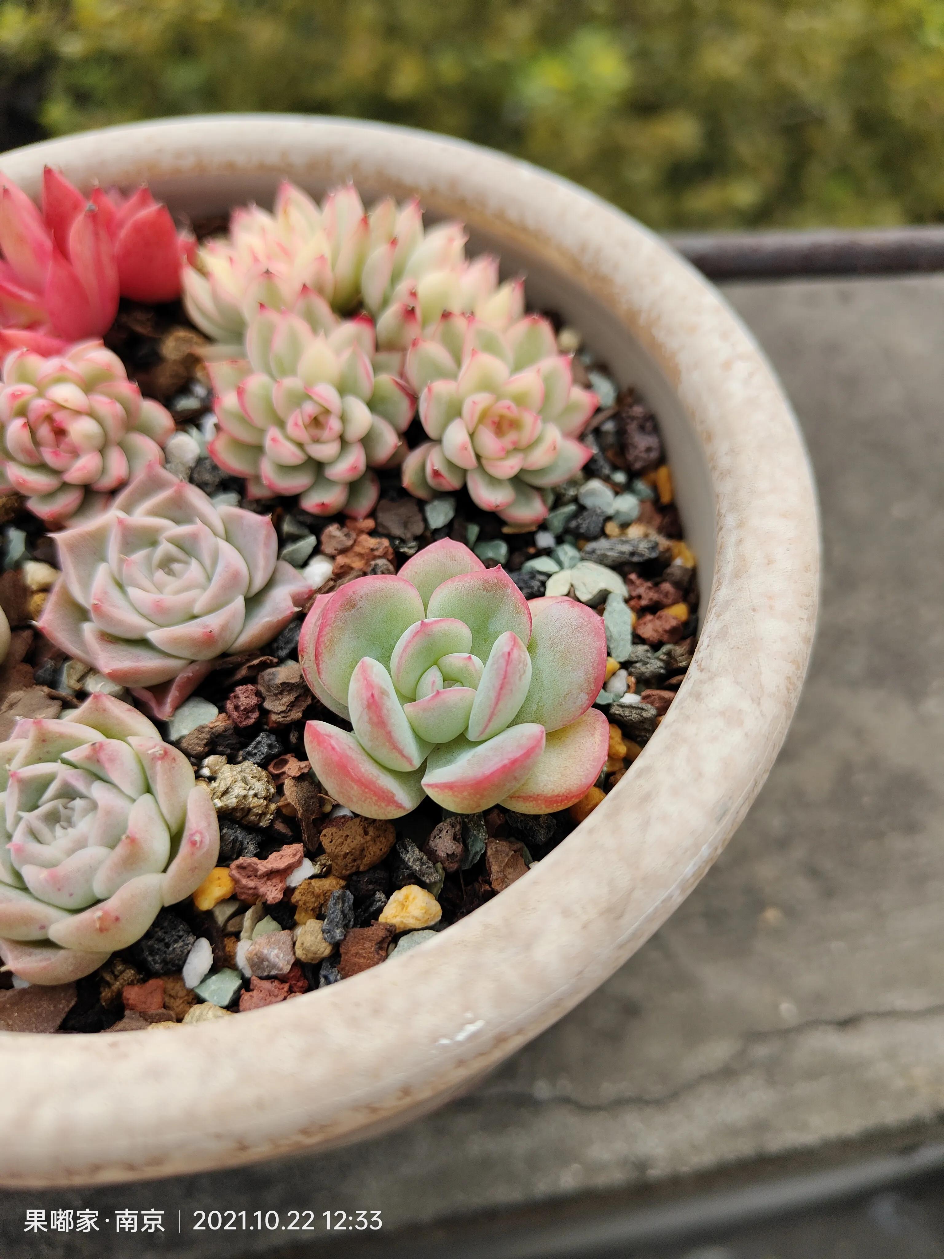 肉肉变美的季节到了,怎么把肉肉练精致