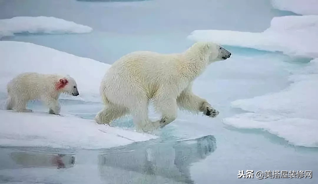这位设计师给中国长脸了！他设计了一堆“垃圾”，却让……