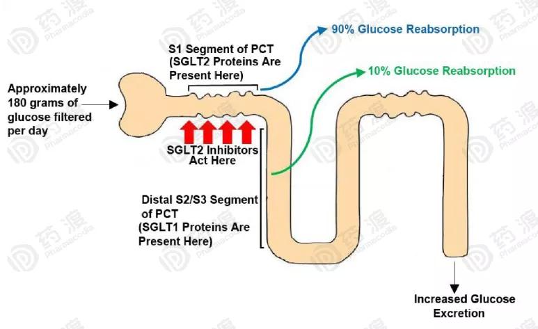 上帝的礼物,上帝的礼物精油