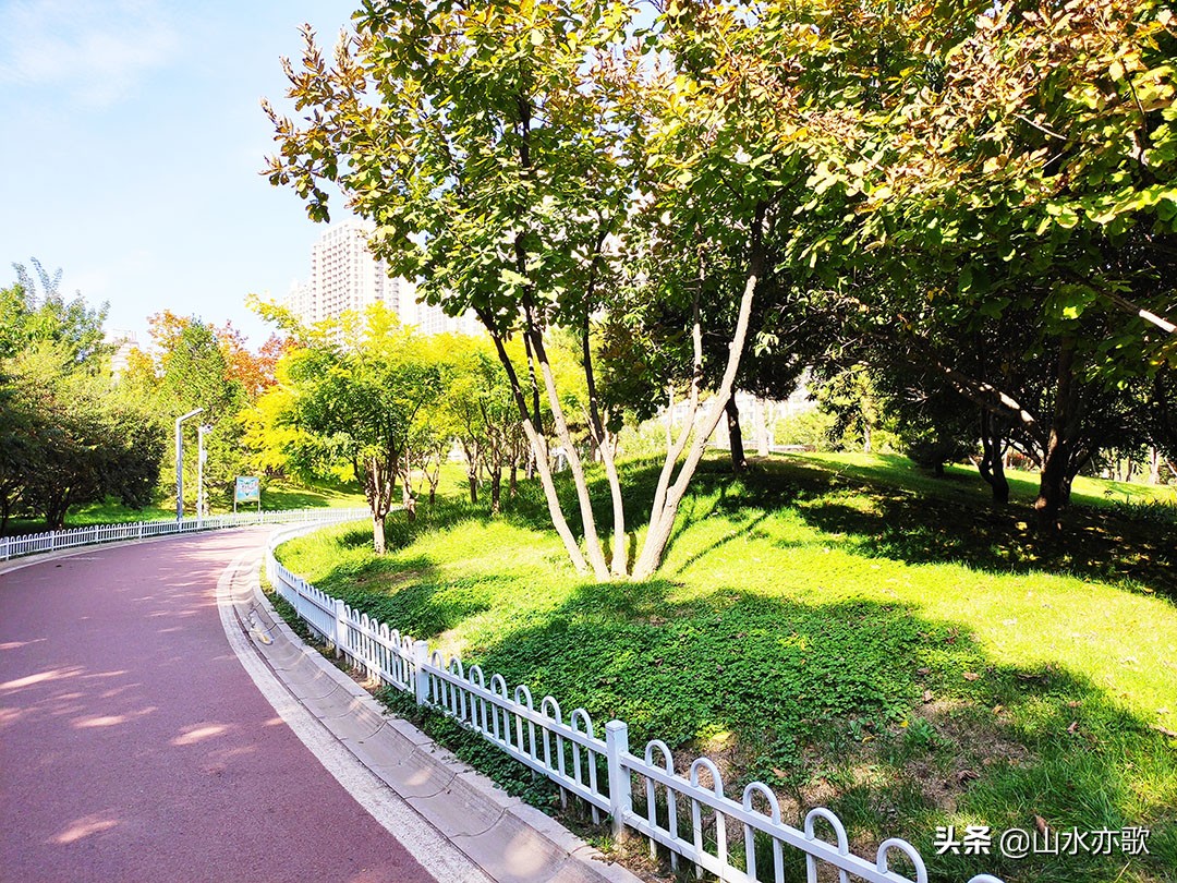 石家庄体育公园哪个最好,石家庄体育公园有什么好玩的