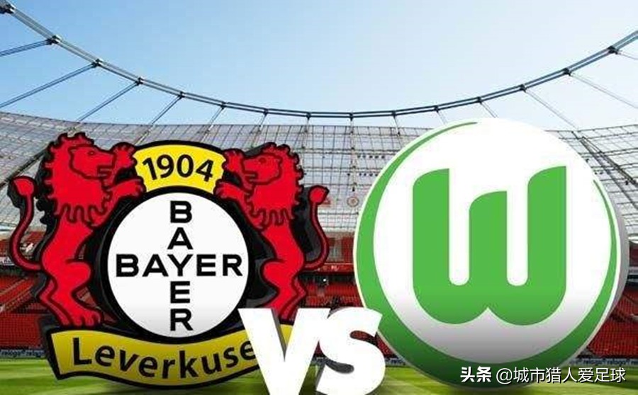 德甲50+1霍芬海姆,霍村老板霍普霍芬海姆